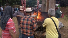 Feira Agropecuária do Porto Moniz atrai excursões (vídeo)