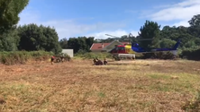 Imagem de Equipa helitransportada combate incêndio no Porto Moniz