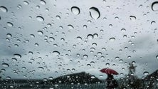 Imagem de Açores sob aviso amarelo devido à precipitação