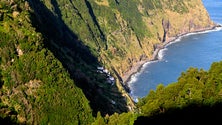 Conhecer São Miguel a correr (Vídeo)