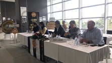 Imagem de Rui Alves quer vender a SAD por 5,2 milhões de euros
