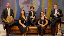 Imagem de Orquestra no Madeira Wine Company (áudio)
