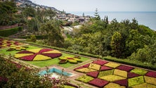 Imagem de Teleférico do Jardim Botânico volta a abrir em fevereiro