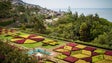 Imagem de Teleférico do Jardim Botânico volta a abrir em fevereiro
