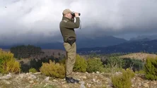 Imagem de Promulgado diploma que altera carreira do Corpo de Polícia Florestal da Madeira