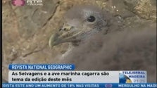 Selvagens e Cagarras na National Geographic (Vídeo)