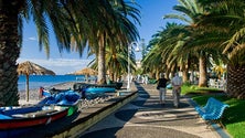 Imagem de Santa Cruz lidera POSEUR