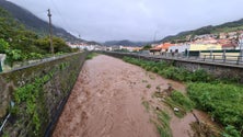 Imagem de Ribeira de Machico com forte caudal (vídeo)