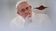 Imagem de Papa diz que aborto é como contratar assassino para resolver problema