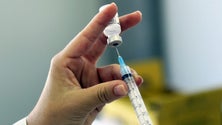 Imagem de Vacina para reduzir colesterol está a ser experimentada em humanos
