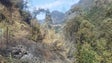 Imagem de Incêndio no Curral das Freiras está em fase de rescaldo (vídeo)