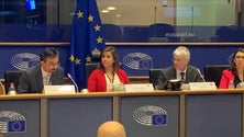 Imagem de Sara Cerdas eleita presidente de Grupo de Trabalho de Saúde Pública