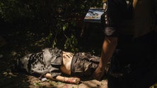 Imagem de Seis mortos em ataque russo contra edifício em Donetsk
