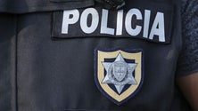 Imagem de Corpo de Segurança Pessoal da PSP tem 56 novos elementos desde hoje