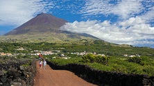 Imagem de Açores com 413 casos positivos 22 mortes