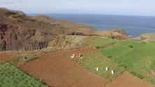 Cooperação positiva com Cabo Verde (Vídeo)