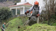 Imagem de Avisos para limpeza de terrenos voltam a ser enviadas na próxima semana (Vídeo)