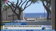 Imagem de 3ª. Edição do “Jardim dos Sabores” acontece de 8 a 12 de Junho nos jardins do Lido (Vídeo)
