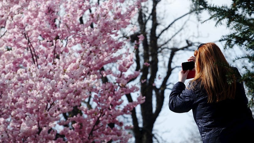 Primavera começa sábado com bom tempo