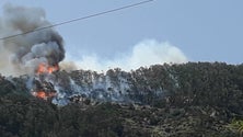 Imagem de Identificado autor de incêndio em Machico