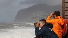 Imagem de Buscas para encontrar turista desaparecido retomadas