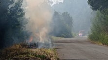 Imagem de Bombeiros combatem pequenos focos de incêndio (vídeo)
