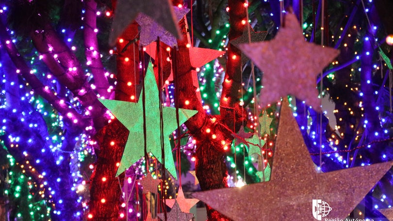 Imagem de Festas de Natal e Ano Novo arrancaram no Funchal com mais de um milhão de luzes