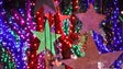 Festas de Natal e Ano Novo arrancaram no Funchal com mais de um milhão de luzes