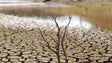 Portugal vive a pior seca em 100 anos