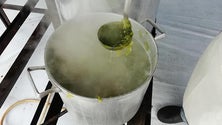 Imagem de Rabo de Peixe promove os sabores do caldo de peixe (Vídeo)