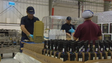 Imagem de Vendas de vinho em alta (vídeo)