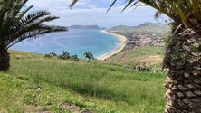 Imagem de Surto no Porto Santo entrou em curva descendente