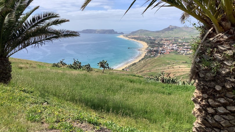 Imagem de Surto no Porto Santo entrou em curva descendente