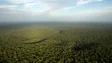Imagem de NASA vai oferecer ao Brasil três satélites para monitorizar desmatamento na Amazónia