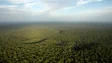 NASA vai oferecer ao Brasil três satélites para monitorizar desmatamento na Amazónia