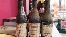 Imagem de Fábrica Mel-de-Cana do Ribeiro Sêco encontra “relíquia”
