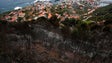 Equipa de rocheiros vai intervir nas encostas mais atingidas pelos incêndios (áudio)