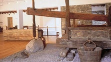 Imagem de Declaração do Funchal pede mais investimento em museus após anos de cortes