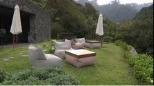 Imagem de Procura pelo enoturismo tem crescido na Madeira (vídeo)