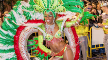 Imagem de Vídeos em vez do desfile de Carnaval (vídeo)