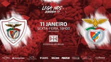 Imagem de Esgotados os bilhetes para o Santa Clara-Benfica (Vídeo)