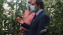 Imagem de Covid-19: ARAE vai multar e, no limite, encerrar bares que não respeitem regras (Áudio)