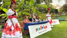 Imagem de Madeira tem prevista ocupação hoteleira de 94% para a Festa da Flor (áudio)
