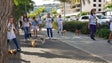 Funchal recolheu mais de 200 cães abandonados no verão de 2018