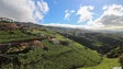 Imagem de Madeira investe 1 M€ no pavilhão desportivo do Estreito de Câmara de Lobos
