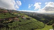 Madeira investe 1 M€ no pavilhão desportivo do Estreito de Câmara de Lobos