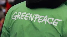 Imagem de Greenpeace saúda acordo de financiamento de perdas e danos