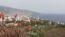 Imagem de Madeira registou hoje a temperatura mais alta para esta época do ano, 28.6 graus (Vídeo)