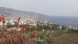 Imagem de Madeira registou hoje a temperatura mais alta para esta época do ano, 28.6 graus (Vídeo)