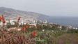 Madeira registou hoje a temperatura mais alta para esta época do ano, 28.6 graus (Vídeo)
